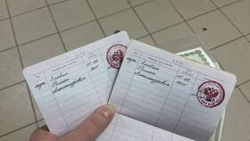 Что указывать в графе 