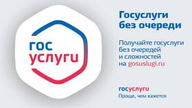 Как посмотреть займы через портал Госуслуги в Теле2