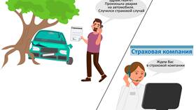 Как проверить страховую выплату в Теле2