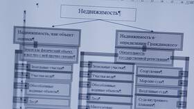 Как скопировать и вставить текст в документ Word в Теле2