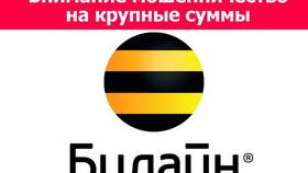 Как установить переадресацию на Билайн в Теле2