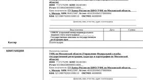Как вернуть госпошлину, оплаченную через МФЦ в Теле2