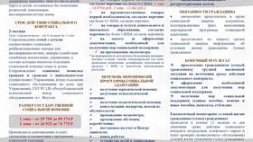 Социальная выплата согласно реестру Z: что это в Теле2